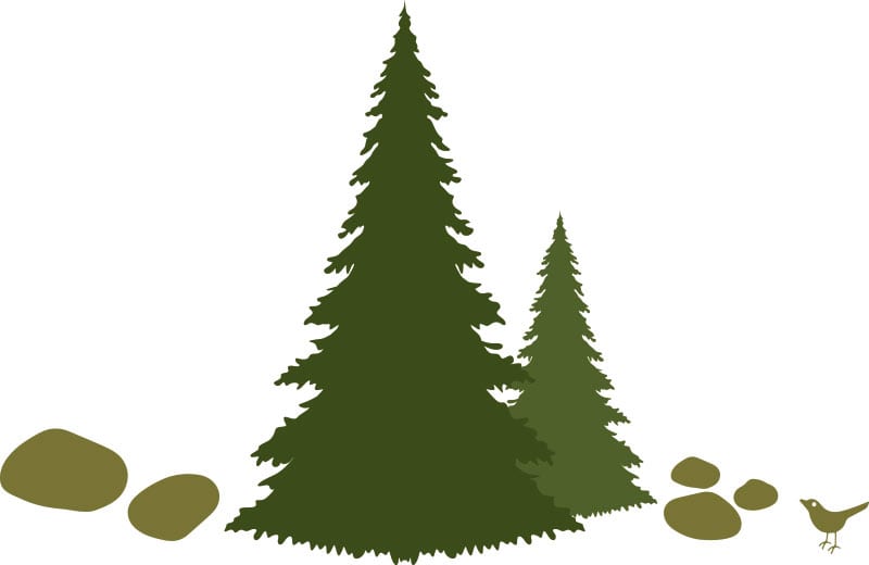 wernigeroeder_maerchenweg_baeume_steine