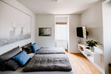 Armeleuteberg_Ferienwohnung_Schlafzimmer_Einrichtung