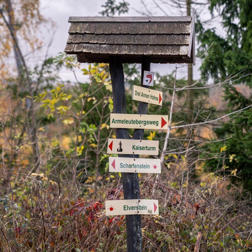 Wanderrouten um das Waldgasthaus Armeleuteberg